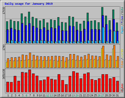 Daily usage for January 2019