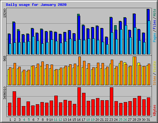 Daily usage for January 2020