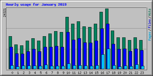 Hourly usage for January 2019