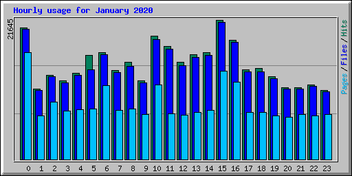 Hourly usage for January 2020